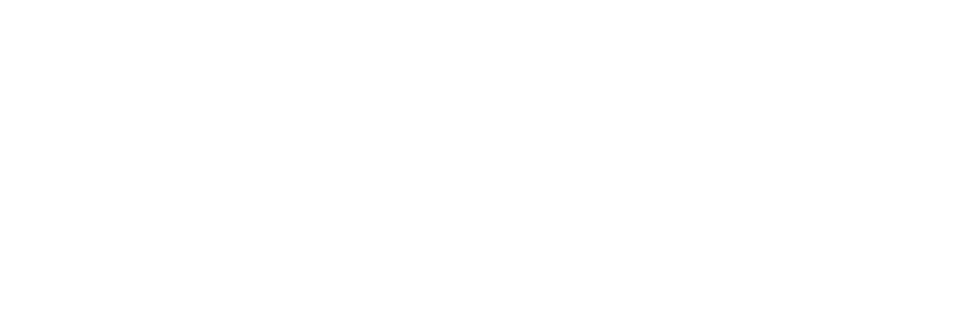 Logo for Feather and Stone Boudoir Photography with the text in a cursive script, a swirl design underneath, and optimized for SEO to ensure it stands out in any website header.