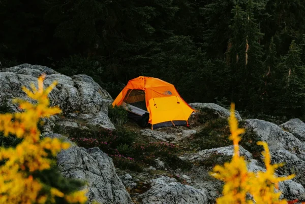A bright orange tent is set up on rocky terrain surrounded by evergreen trees and scattered vegetation.