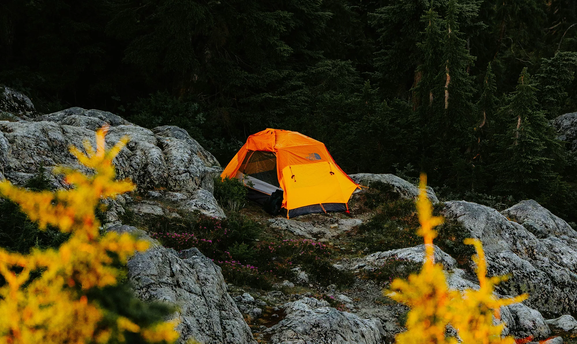 A bright orange tent is set up on rocky terrain surrounded by evergreen trees and scattered vegetation.