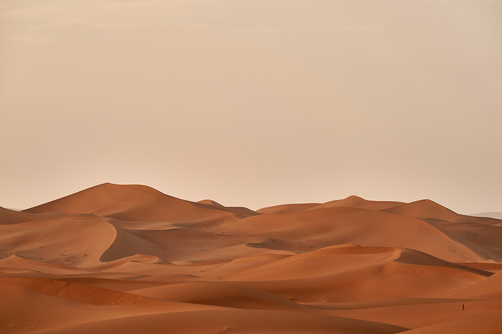 Wide view of sandy desert dunes under a pale sky, with soft shadows and smooth, rolling shapes across the landscape.